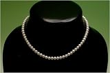 真珠（パール）ネックレス 真珠 ネックレス