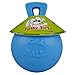 Jolly Pets Tug-n-Toss Heavy Duty Dog Toy Ball with Handle, 4.5 Inches/Small, Blueberry, JP445BLUEBERRY