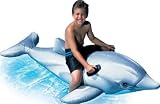 Intex little inflatable dolphin (ref 58535)