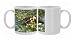 American Beaver - In Water Photo Mugs