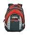 Jansport Trinity Backpack (Grey Humboldt/Red Curtain/New Storm Grey)