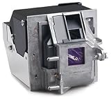 In Focus Replacement Lamp for Projector (SP-LAMP-028)