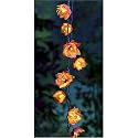 Decorative Metal Flower String Lights Red with Gold Inner Petals - Set of 10