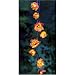Decorative Metal Flower String Lights Red with Gold Inner Petals - Set of 10