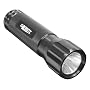 Garrity 1 Watt LED Flashlight with Batteries
