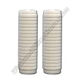 Aqua-Pure AP420 Whole House Filter Replacement Cartridge (2-Pack)
