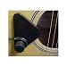 Sky Transducer Soundhole Pickup for Acoustic Guitar, Mandolin, Violin, Classical