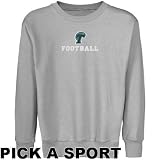 Tulane Green Wave Youth Ash Custom Sport Logo Applique Crew Neck Fleece Sweatshirt (Large)