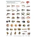 Poster Meeresfr�chte DIN A1
