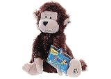 Monkey Lil Kinz