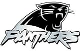 Carolina Panthers NFL Silver Auto Emblem
