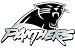 Carolina Panthers NFL Silver Auto Emblem