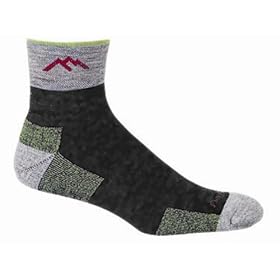Darn Tough Merino Wool 1/4 Sock Cushion
