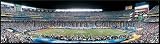 Tampa Bay Buccaneers - Super Bowl XXXVII Champions 13.5 x 39 Panoramic Photo - Unframed