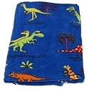 Dinosaur Towel