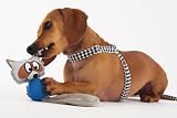 Doggles PentaPals Large Raccoon Recycled Dog Toy
