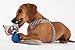 Doggles PentaPals Large Raccoon Recycled Dog Toy