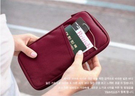 DGI MART Home Multi-function Use Space Save Bag Red Travel Wallet with Closure Zip Document Organiser Passport Ticket Holder