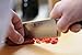 Wusthof Classic 10-Inch Cook's Knife