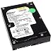 Electronics : Western Digital WD2500 250GB SATA/300 7200RPM 8MB Hard Drive
