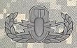 EOD (Basic) - Metal Insignia - Black - Full Size