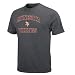 NFL Men's Minnesota Vikings Heart And Soul Ii Adult Short Sleeve Basic Tee (Heather Grey, X-Large)