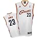 LeBron James Cleveland Cavaliers White Youth Replica Adidas NBA Jersey