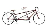 2015 Viking Monarch Hybrid 700c Tandem