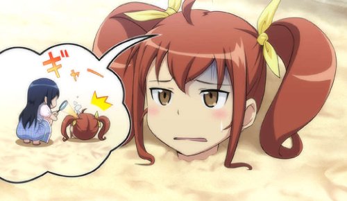 俺の妹がこんなに可愛いわけがない ポータブルが続くわけがない (初回特装版)