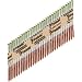 Paslode 650384 RounDrive 3-Inch x .120 Hot Dipped Galvanized Plus Nail