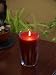 Filled Candle in Carmona Jar- Red Currant Scent, 19 oz
