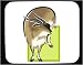 Search : Mouse Pad with forecast, astrology, goat, sign, horoscope, animal, chinese