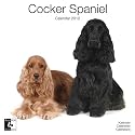 English Cocker Spaniel 2010 Wall Calendar AP30461