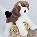   - Puppy - Charleston, Beagle