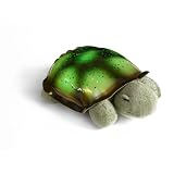Twilight Turtle