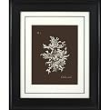 Coral on Branch A Wall Art - 16x20"