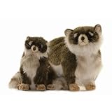 Plush Rocky Raccon 17