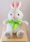 Hallmark Fuzzy Bunny