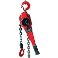 Berger + Schr�ter 60317  Doppelratschenkettenzug 1.5 t