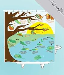 Metamorphosis Shower Curtain in Gift Box - EVA vinyl