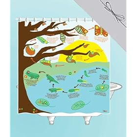 Metamorphosis Shower Curtain in Gift Box - EVA vinyl