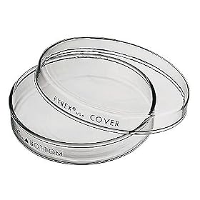 Pyrex Brand 3160 petri dish; 100 x 15 mm, pack of 12