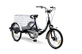 EWheels - Electric Trike Bicycle - EW-54 - Blue