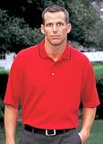 Big Mens Tradition Short Sleeve Polo with Needle Vertical Stripe (Big & Tall and Regular Sizes)