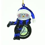 Pack of 4 NHL Tampa Bay Lightning Hockey Puck Snowman Christmas Ornaments 2.75"