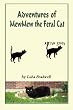 Adventures of MewMew the Feral Cat