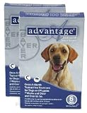 Advantage Flea Control for Dogs 55+ lbs. (Twelve Dose (12-applications))