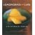Lemongrass and Lime: New Vietnamese Cooking
