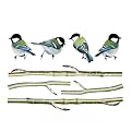 Birds on Branches Wall Decal Set