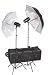 320 Watt Flash Light Kit with Two Umbrellas